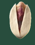 Ahmad Aghaei pistachio