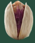 Kale Ghoochi pistachio