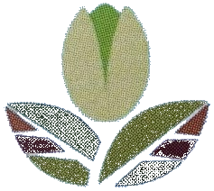 DariaParsi logo